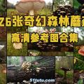 326张奇幻森林蘑菇高清参考图合集