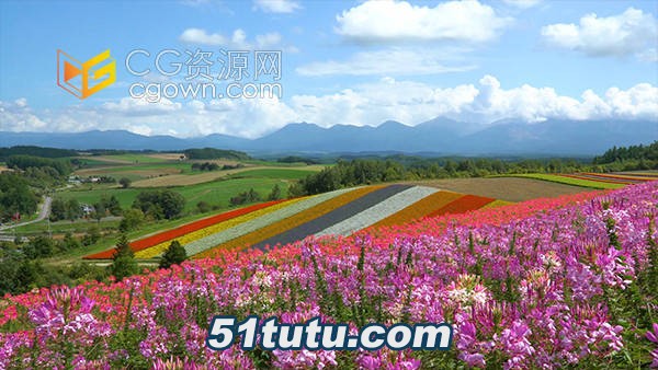 Hokkaido-color-of-the-four-seasons-of-the-hill-beautiful-flower-sea-real-video-m.jpg