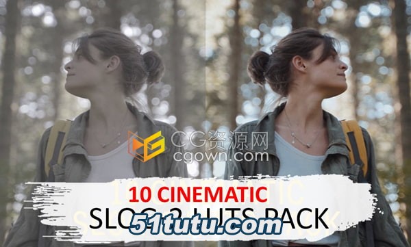 5525741-10-Cinematic-Slog-2-Luts-1.jpg