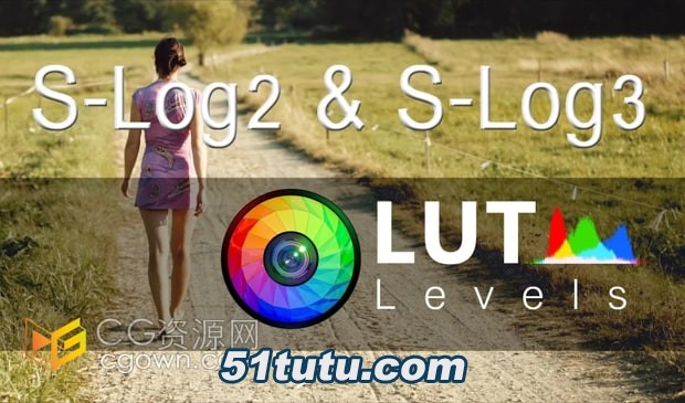 Levels-LUT-Video-LUTs.jpg