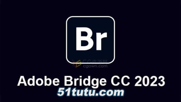 Bridge-2023.jpg