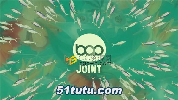 BAO-Joint-AE.jpg
