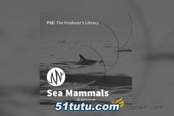 PSE-The-Producers-Library-Sea-Mammals.jpg