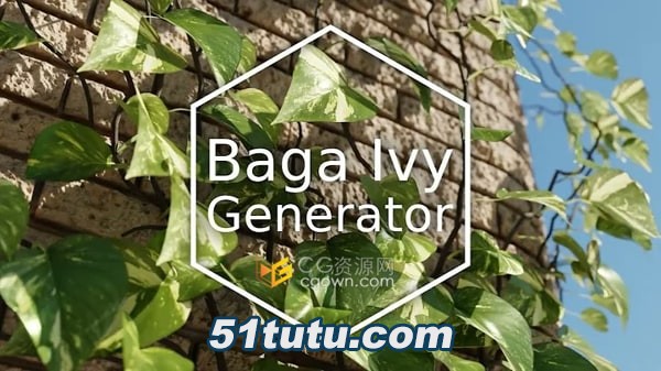 Baga-Ivy-Generator.jpg