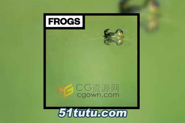 Big-Room-Sound-Frogs.jpg