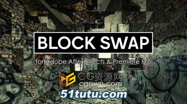 Block-Swap-AE.jpg