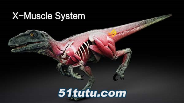 X-Muscle-System-3.0.jpg