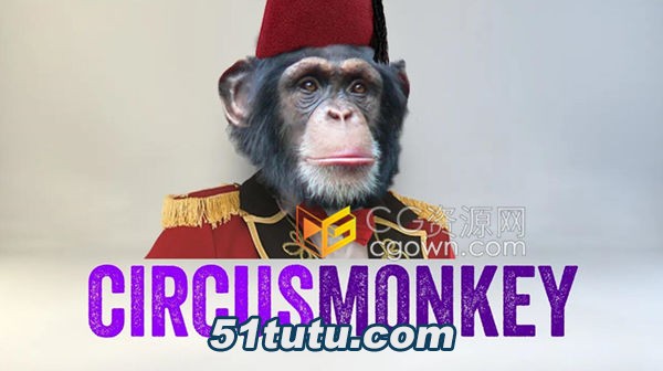 CircusMonkey-AE.jpg