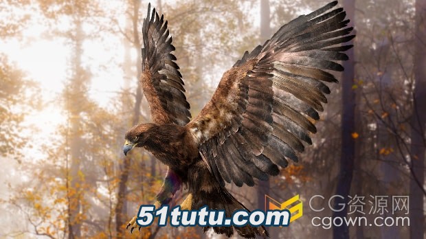 Golden-Eagle-Fur-Animated-Rigged.jpg