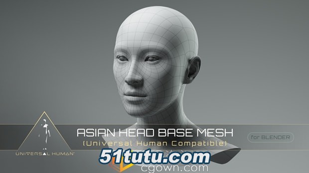 Universal-Human-Asian-Head-Base-Mesh.jpg