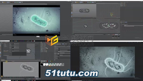 E.-coli-Bacteria-Animation-Tutorial.jpg