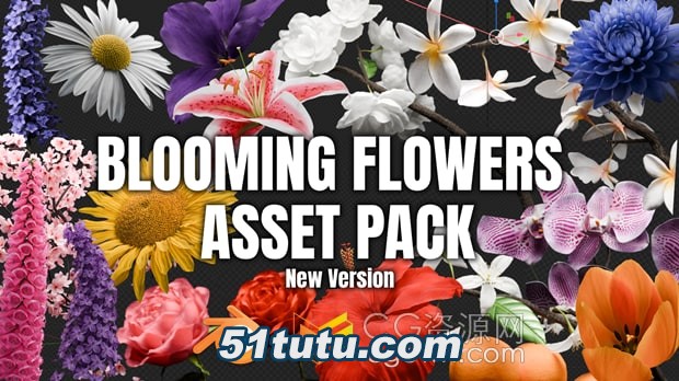 Blooming-Flowers-Asset-Pack.jpg