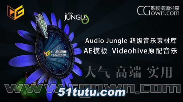 audio-jungle-2015.jpg