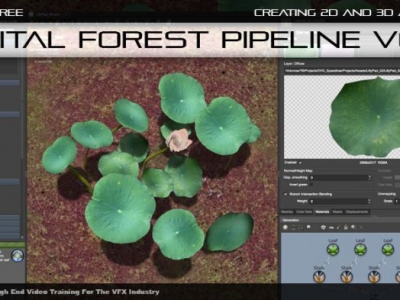 cmiVFX Creating Digital Forest Assets Volume 1.jpg.thumb.jpg