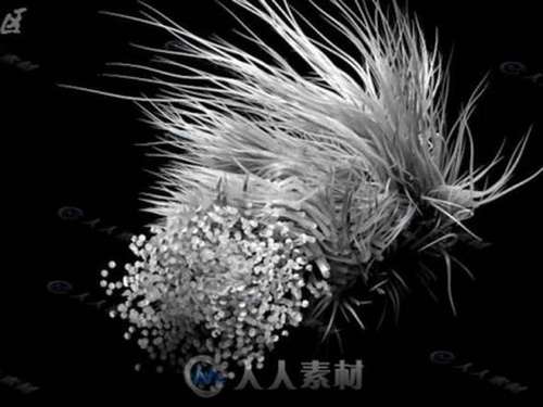神奇毛发粒子微观世界C4D工程文件.jpg