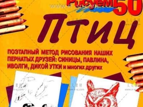 142548cama1bmd1myddazl.jpg