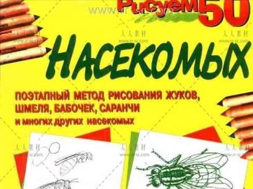 154926ujz2db6zphscr8hr.jpg