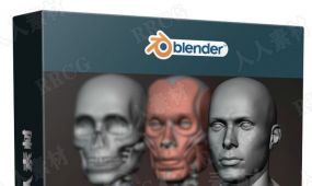 blender男性人体解剖形态全身造型雕刻技术视频教程