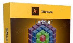 【中文字幕】illustrator cc 2021一对一高级技能训练视频教程