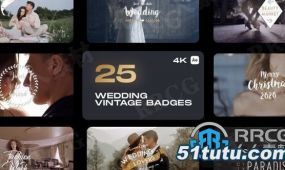 25个婚礼主题复古平面logo动画演绎ae模板