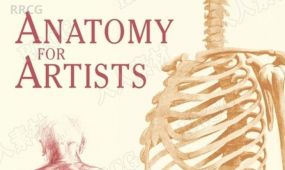 国外人体解剖学艺术详细解析学习书籍