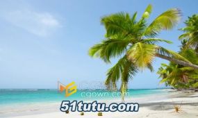 4k实拍视频素材海边白白沙滩棕榈树蓝天
