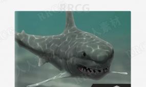 凶恶霸气大白鲨鱼类3d角色unity游戏素材资源