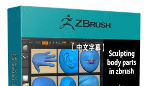 【中文字幕】zbrush人物脸部五官雕刻实例制作视频教程