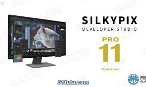 silkypix developer studio pro数码照片处理软件v11.0.5.0版