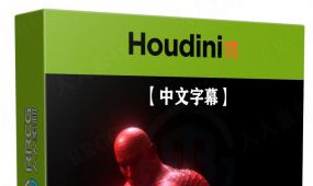 【中文字幕】houdini中vex变形动画特效视频教程