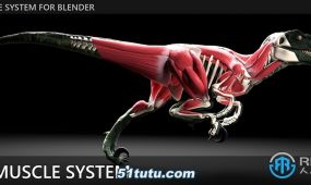 x-muscle system快速创建肌肉系统blender插件v3.0 xl版