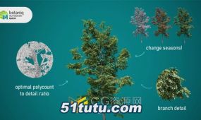 botaniq v1.0 maya插件130种植物树木草地模型预设