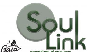 soullink程序性人工智能孵化器unity游戏素材资源