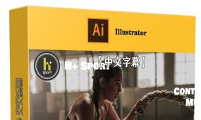【中文字幕】illustrator超强用户体验ux网站设计训练视频教程