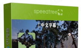 【中文字幕】speedtree树木植物制作全面核心技术训练视频...