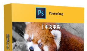 【中文字幕】photoshop 2023选择工具使用技巧视频教程