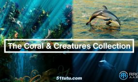 海底世界珊瑚植物动物等模型blender插件