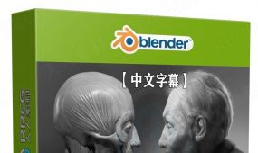 【中文字幕】blender逼真肖像面部骨骼肌肉解剖学制作视频...