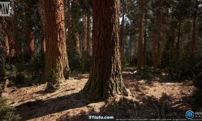 红杉树森林植物树木环境场景unreal游戏素材