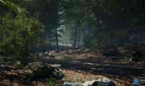 真实橡树森林环境场景unreal游戏素材
