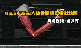 maya中ziva vfx人体骨骼组织模拟动画视频教程