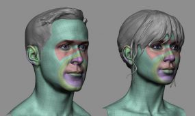 男性女性头部面部基础网格3d模型合集