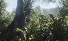 丰富细节热带森林环境场景unity游戏素材