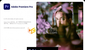 adobe premiere pro 2024 v24.0.0.58 win中文新版本下载