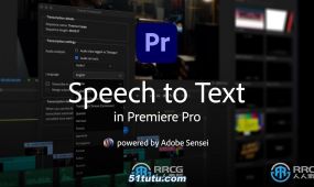 adobe speech to text 2024视频对话自动添加字幕premiere pro插件v12....