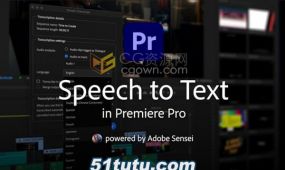 premiere pro 2024版本speech to text pr语音生成字幕插件