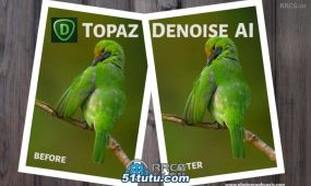 topaz denoise ai图像降噪软件v3.7.2 win与mac版