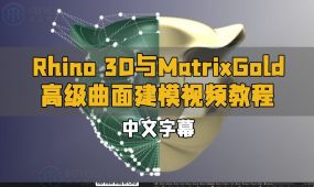 【中文字幕】rhino 3d与matrixgold高级曲面建模视频教程
