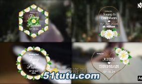 ae模板-树枝花卉生长动画元素清新唯美婚礼标题