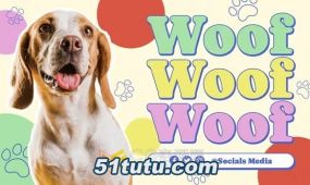 ae模板-有趣的宠物视频宠物护理宠物店宠物医院服务介绍